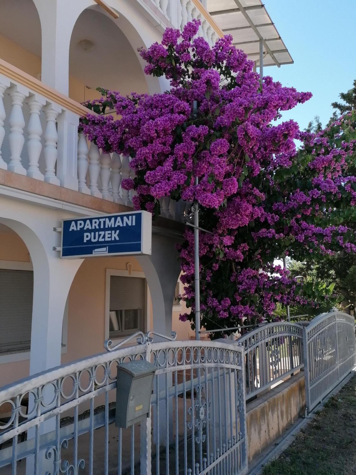 Apartmani Puzek Bibinje Kültér fotó